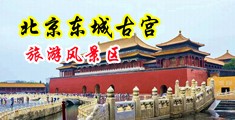 操操逼逼中国北京-东城古宫旅游风景区